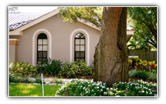 houston area tree trimming service